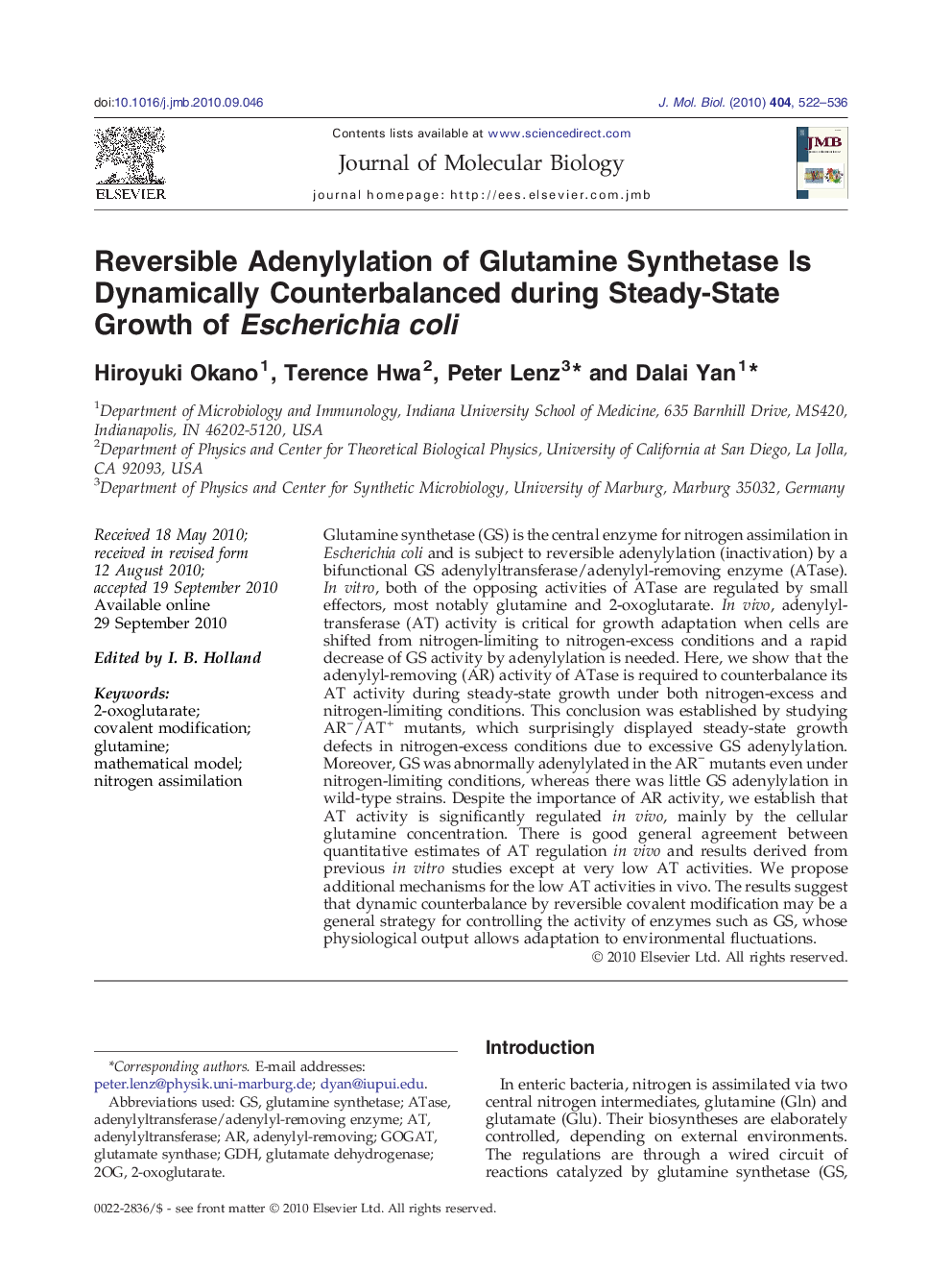 Reversible Adenylylation of Glutamine Synthetase Is Dynamically Counterbalanced during Steady-State Growth of Escherichia coli