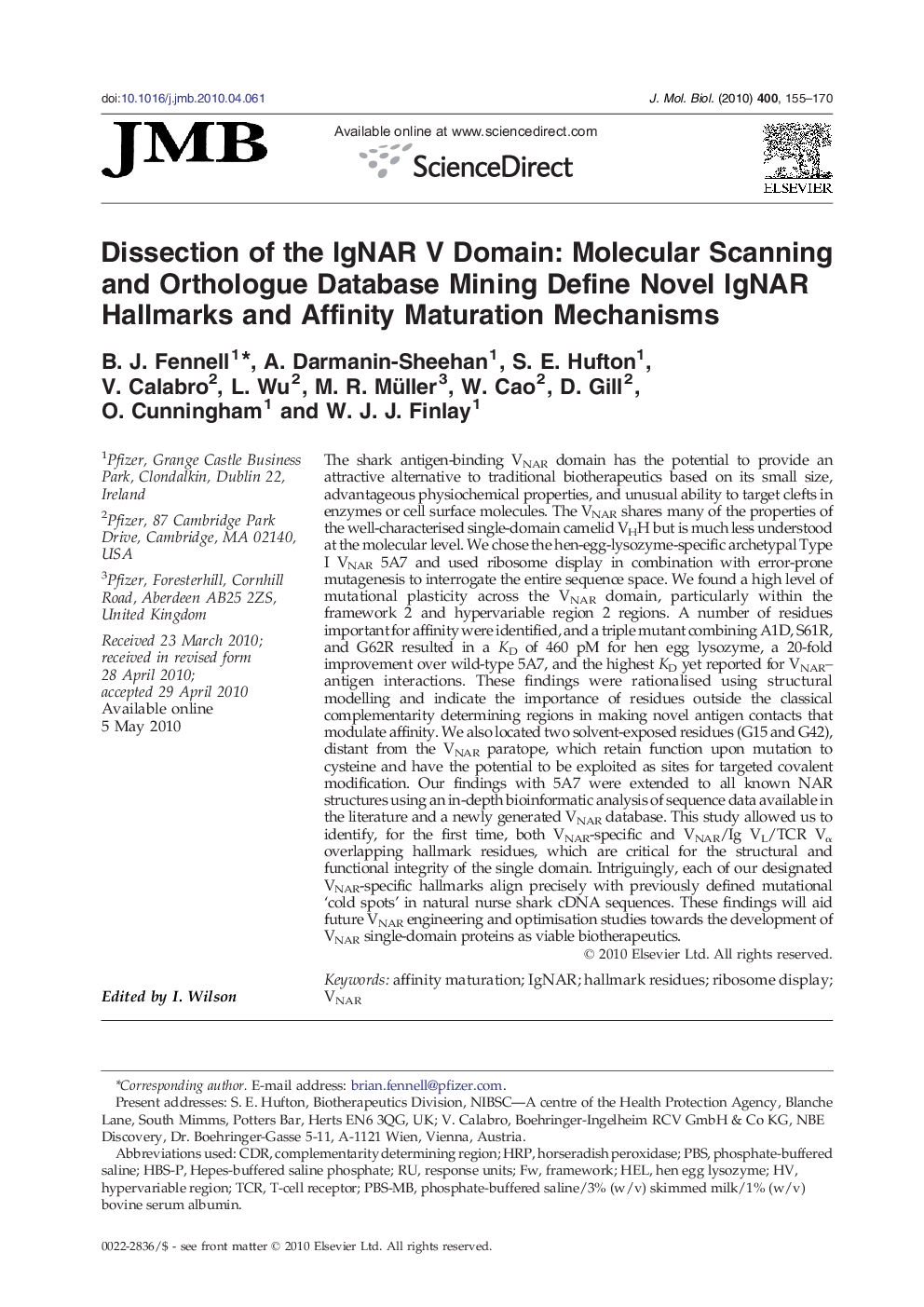 Dissection of the IgNAR V Domain: Molecular Scanning and Orthologue Database Mining Define Novel IgNAR Hallmarks and Affinity Maturation Mechanisms