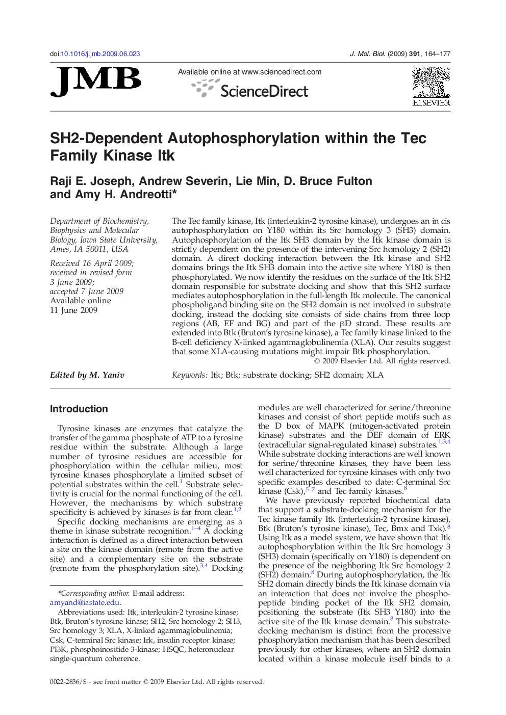 SH2-Dependent Autophosphorylation within the Tec Family Kinase Itk