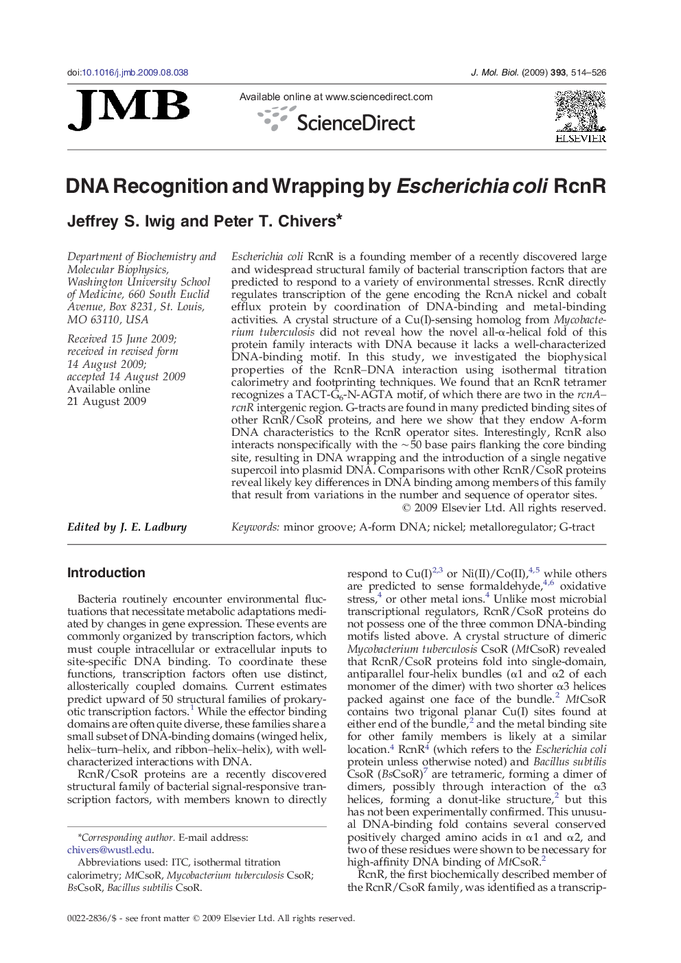 DNA Recognition and Wrapping by Escherichia coli RcnR