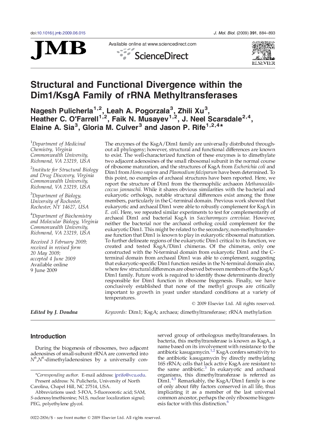 Structural and Functional Divergence within the Dim1/KsgA Family of rRNA Methyltransferases