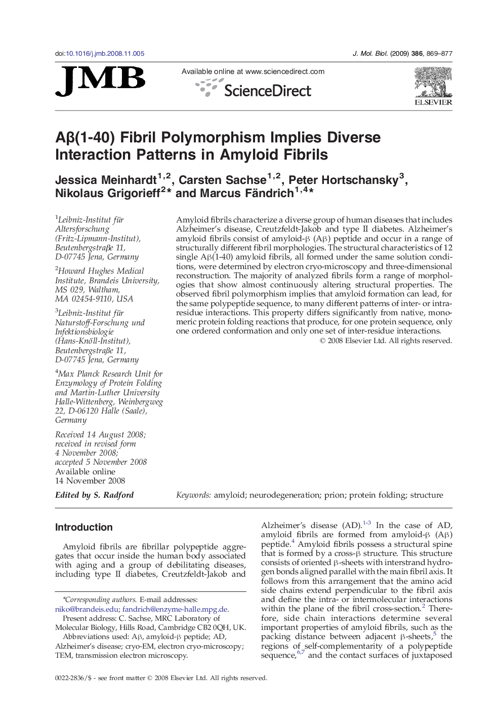 Aβ(1-40) Fibril Polymorphism Implies Diverse Interaction Patterns in Amyloid Fibrils