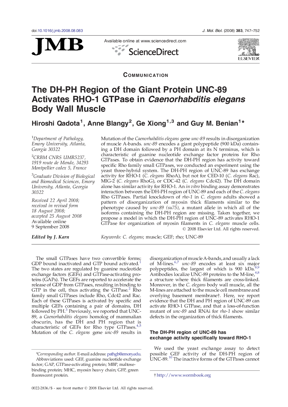 The DH-PH Region of the Giant Protein UNC-89 Activates RHO-1 GTPase in Caenorhabditis elegans Body Wall Muscle