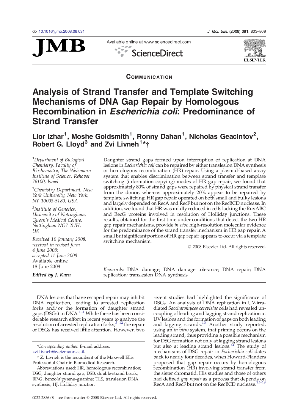 Analysis of Strand Transfer and Template Switching Mechanisms of DNA Gap Repair by Homologous Recombination in Escherichiacoli: Predominance of Strand Transfer