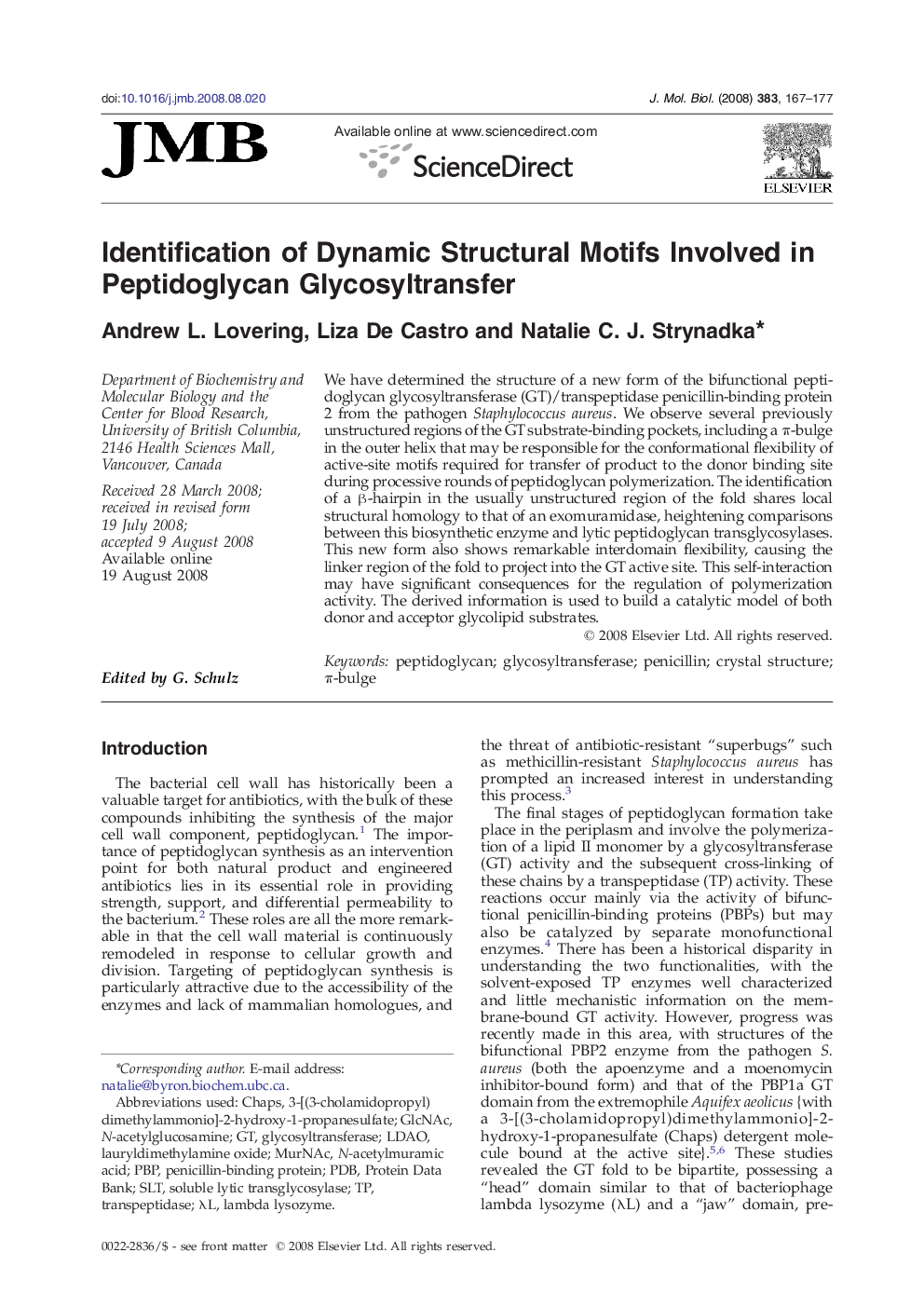 Identification of Dynamic Structural Motifs Involved in Peptidoglycan Glycosyltransfer