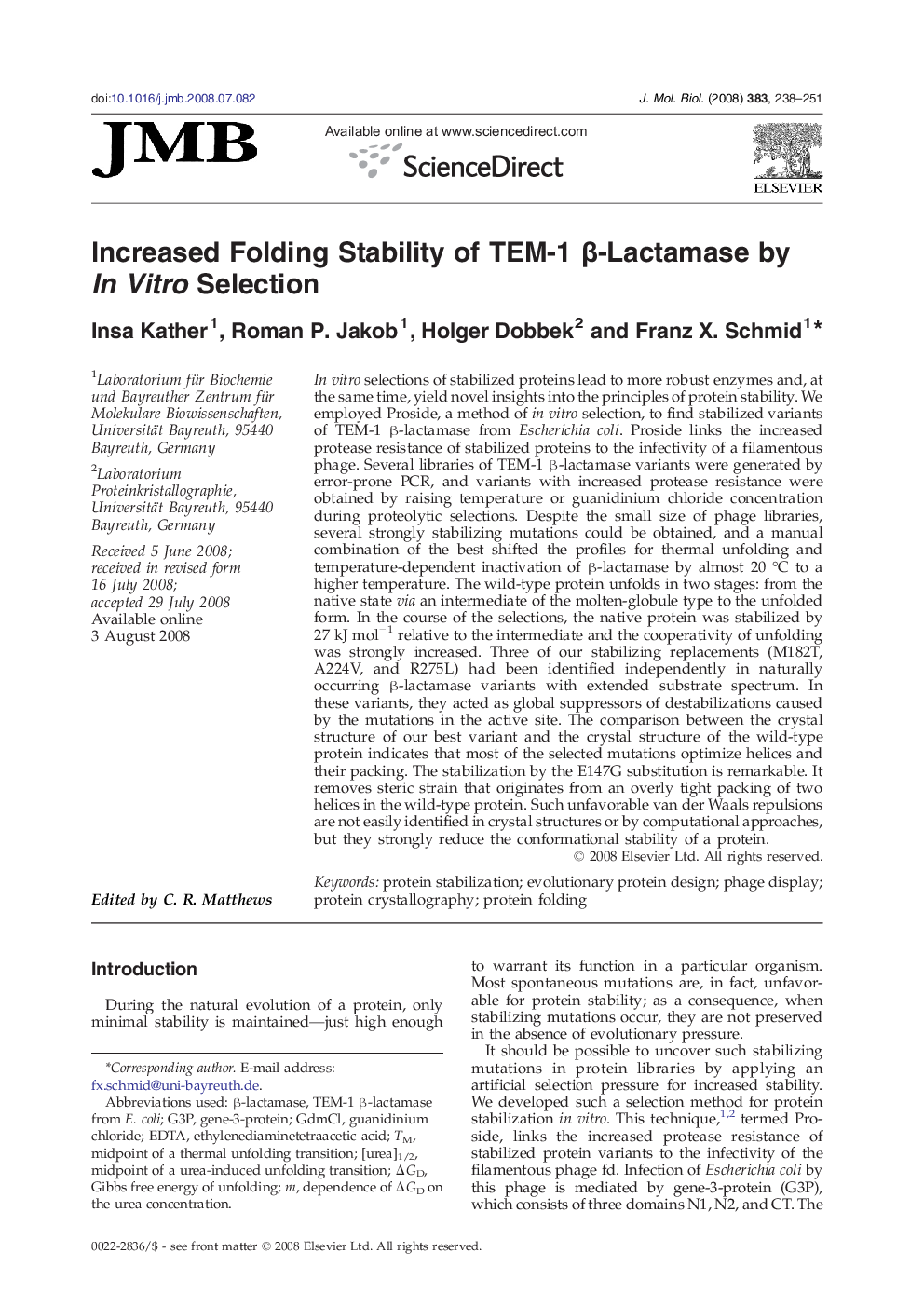 Increased Folding Stability of TEM-1 β-Lactamase by In Vitro Selection