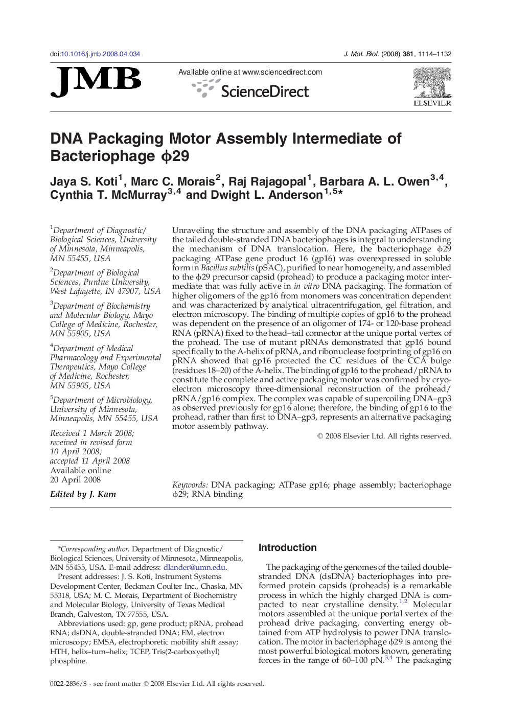 DNA Packaging Motor Assembly Intermediate of Bacteriophage ϕ29