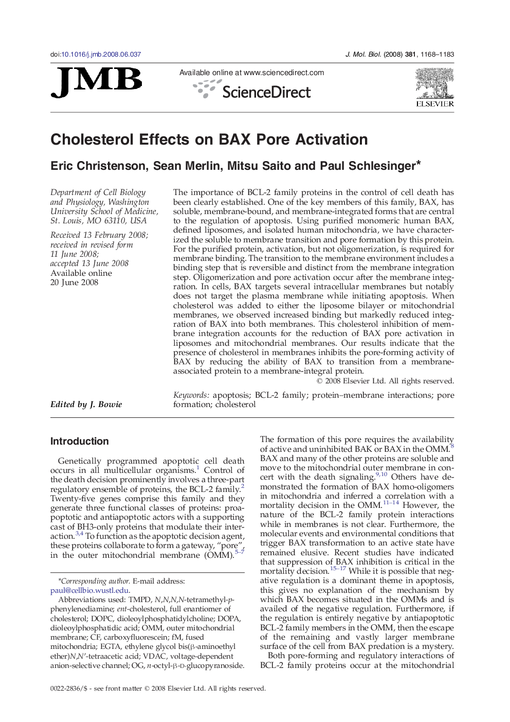 Cholesterol Effects on BAX Pore Activation