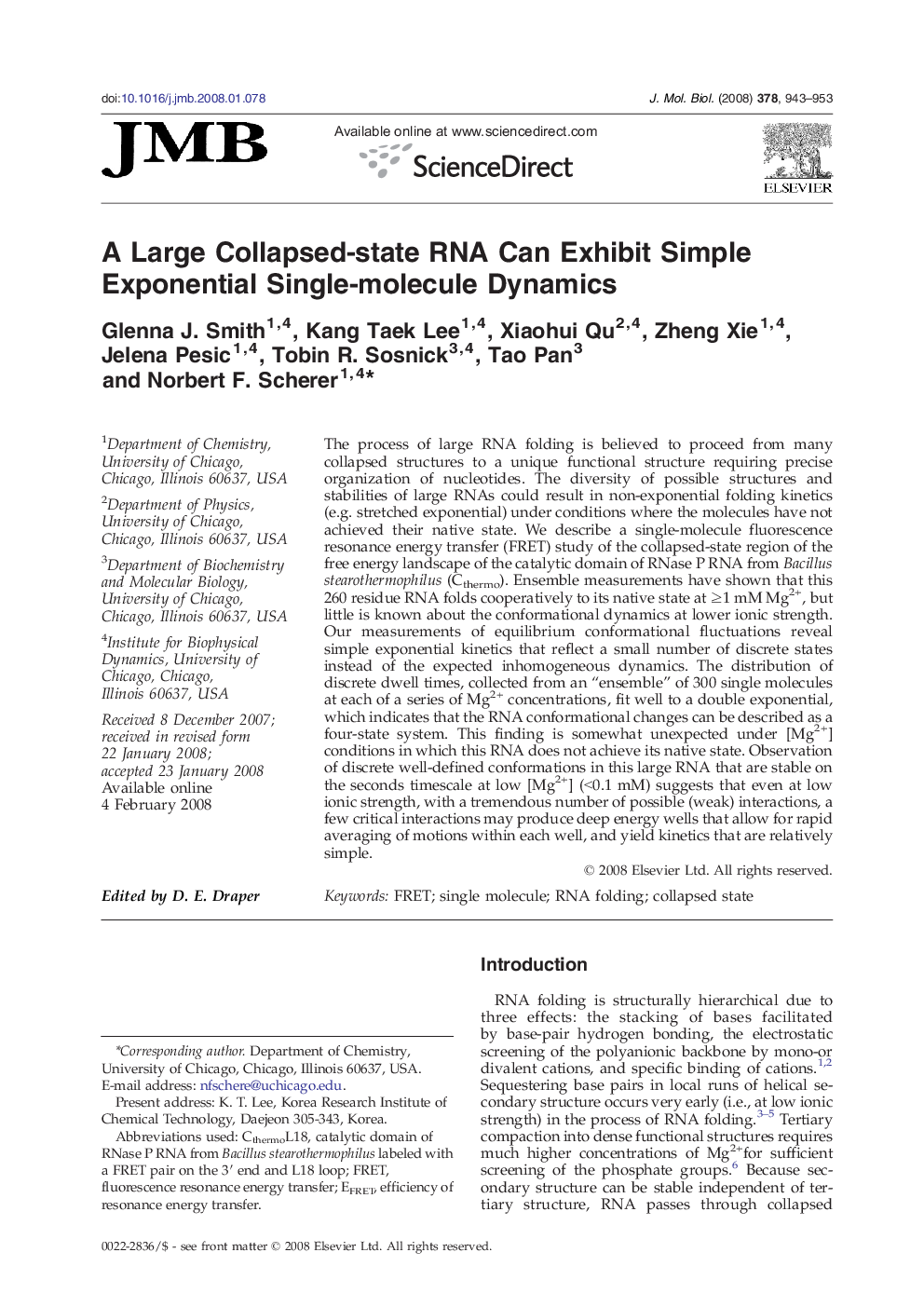 A Large Collapsed-state RNA Can Exhibit Simple Exponential Single-molecule Dynamics