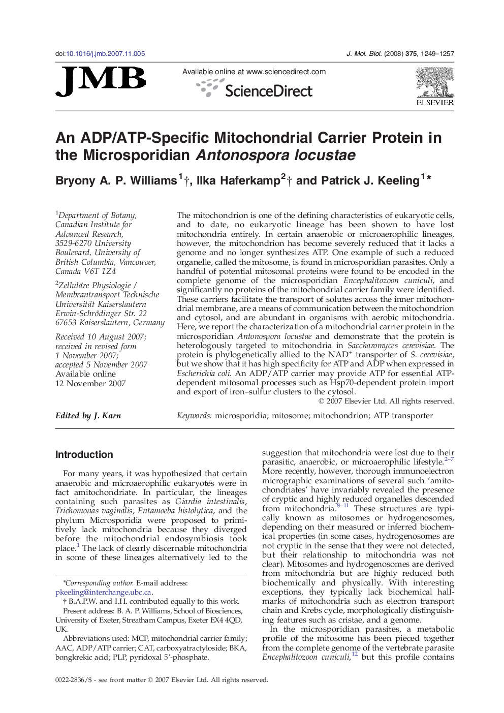 An ADP/ATP-Specific Mitochondrial Carrier Protein in the Microsporidian Antonospora locustae