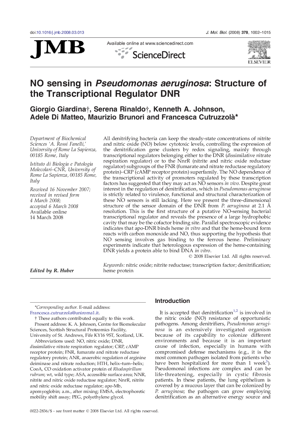 NO sensing in Pseudomonas aeruginosa: Structure of the Transcriptional Regulator DNR
