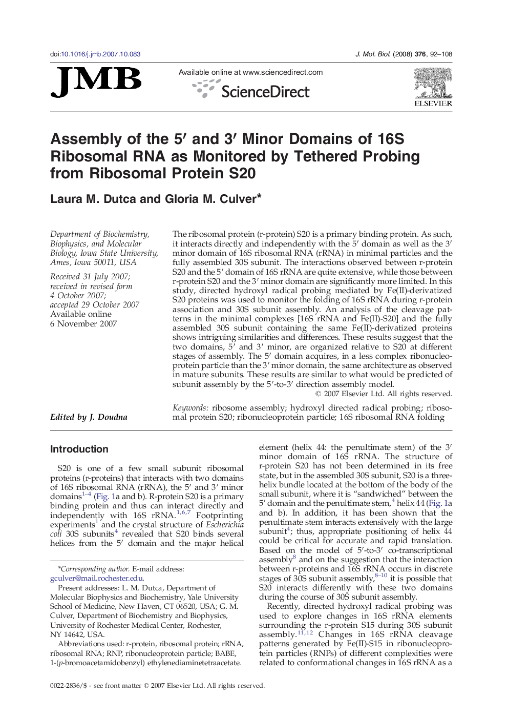 Assembly of the 5′ and 3′ Minor Domains of 16S Ribosomal RNA as Monitored by Tethered Probing from Ribosomal Protein S20