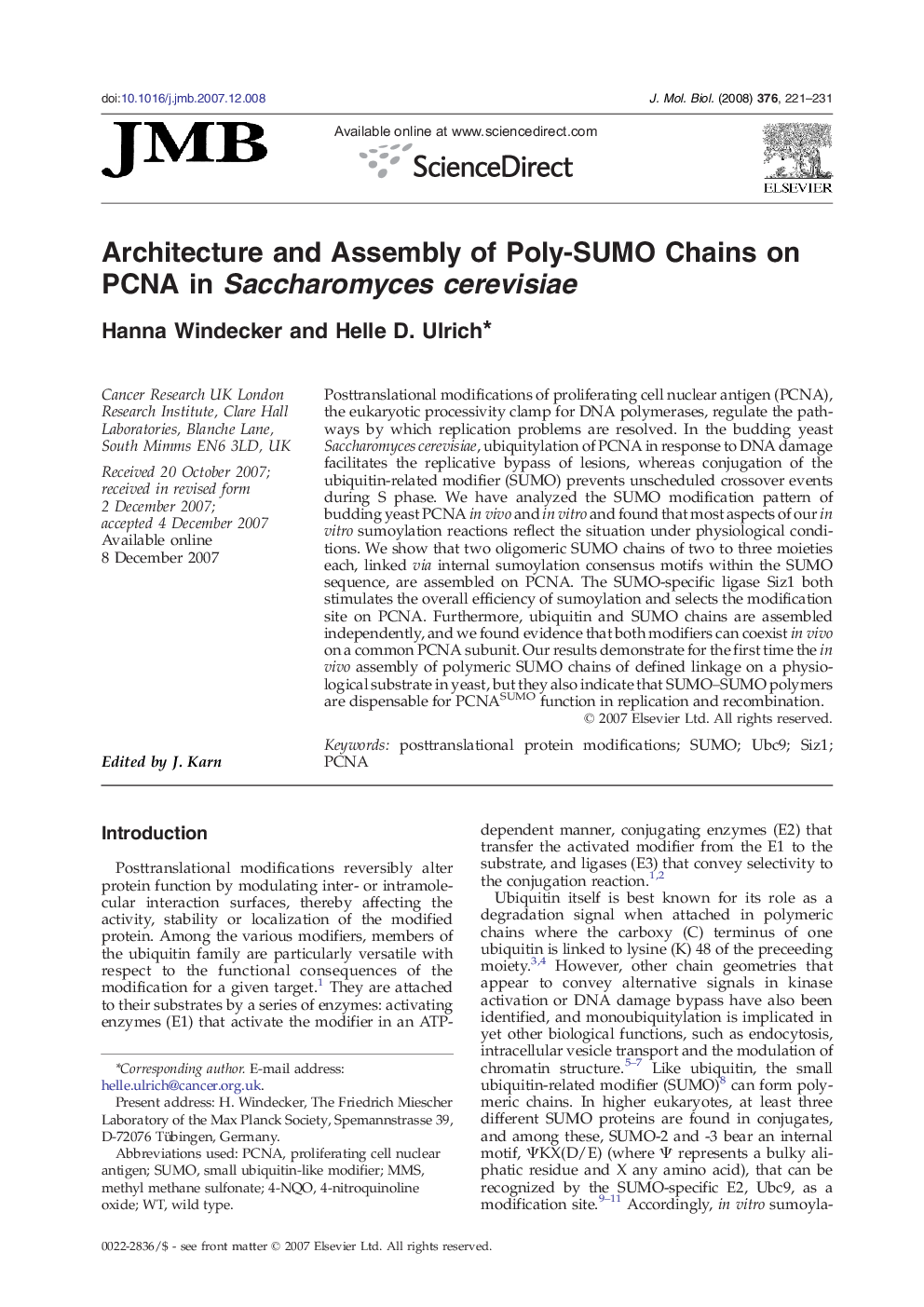 Architecture and Assembly of Poly-SUMO Chains on PCNA in Saccharomyces cerevisiae