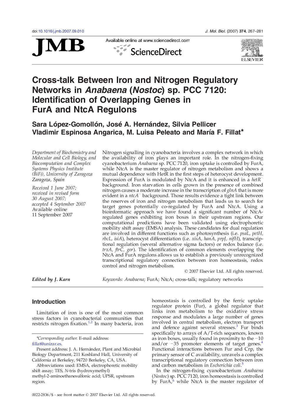 Cross-talk Between Iron and Nitrogen Regulatory Networks in Anabaena (Nostoc) sp. PCC 7120: Identification of Overlapping Genes in FurA and NtcA Regulons