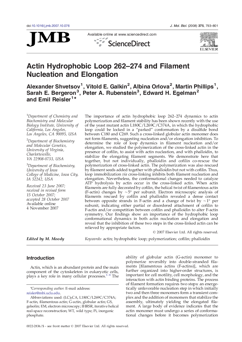 Actin Hydrophobic Loop 262–274 and Filament Nucleation and Elongation