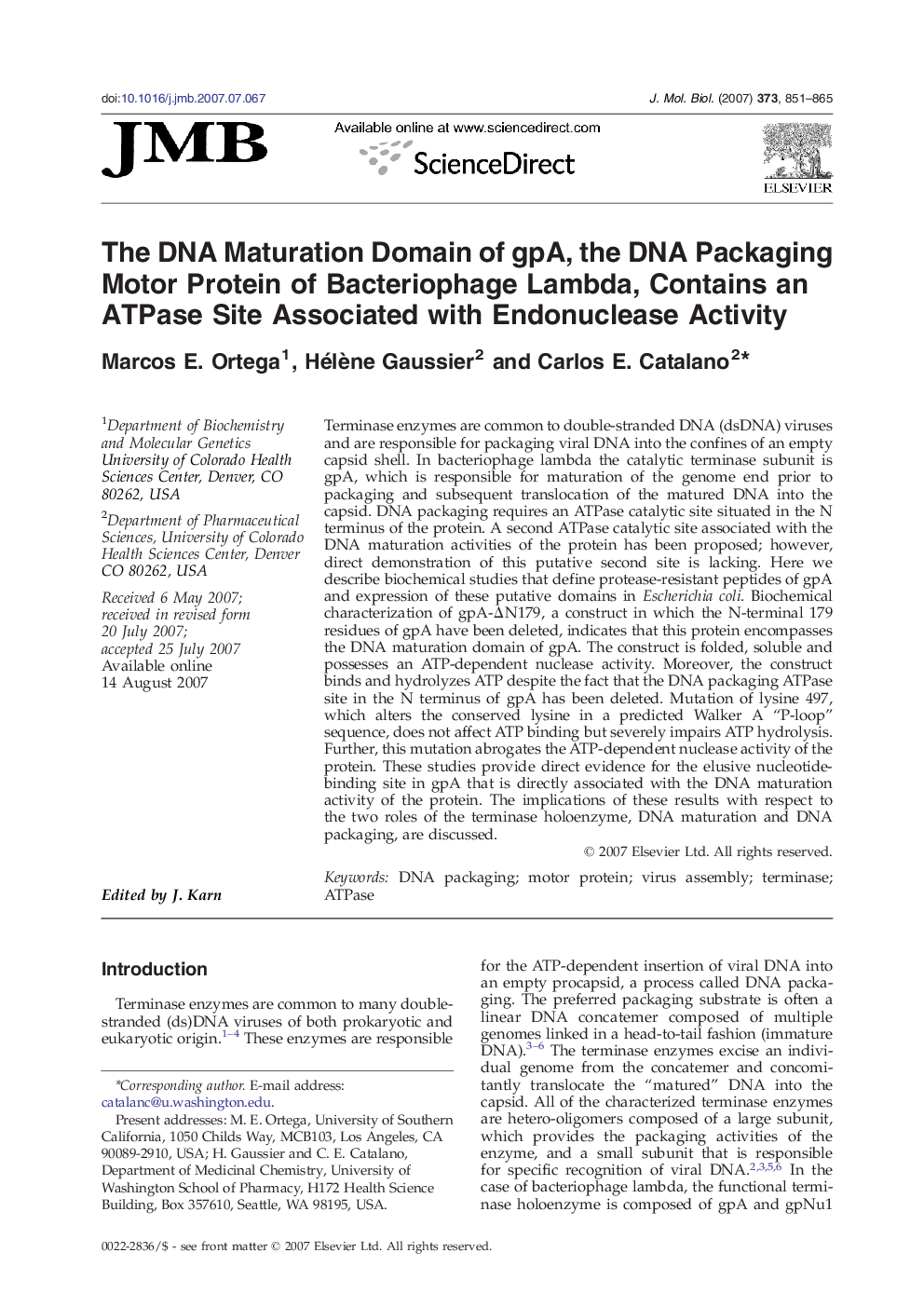 The DNA Maturation Domain of gpA, the DNA Packaging Motor Protein of Bacteriophage Lambda, Contains an ATPase Site Associated with Endonuclease Activity