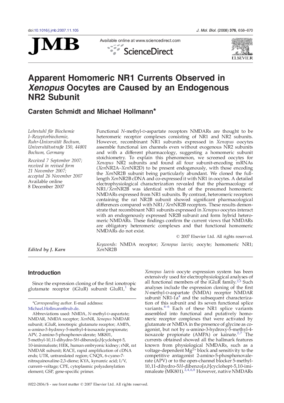 Apparent Homomeric NR1 Currents Observed in Xenopus Oocytes are Caused by an Endogenous NR2 Subunit