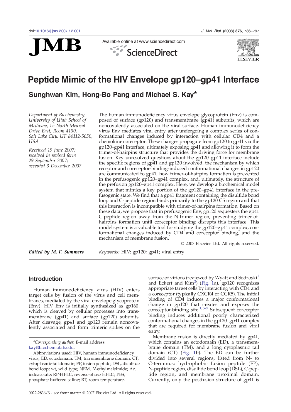 Peptide Mimic of the HIV Envelope gp120–gp41 Interface