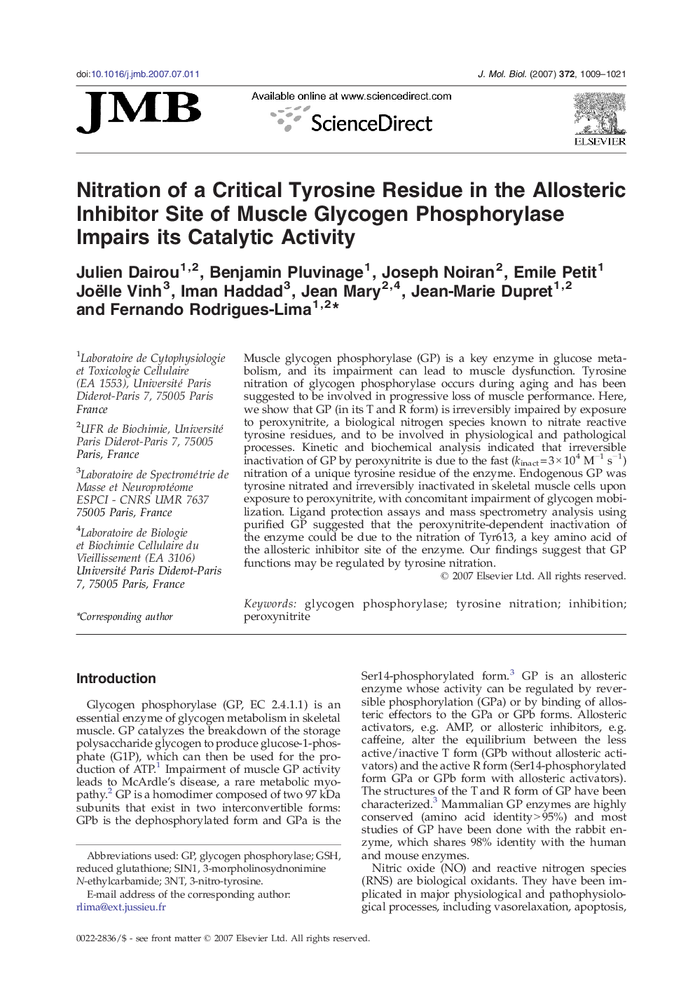 Nitration of a Critical Tyrosine Residue in the Allosteric Inhibitor Site of Muscle Glycogen Phosphorylase Impairs its Catalytic Activity