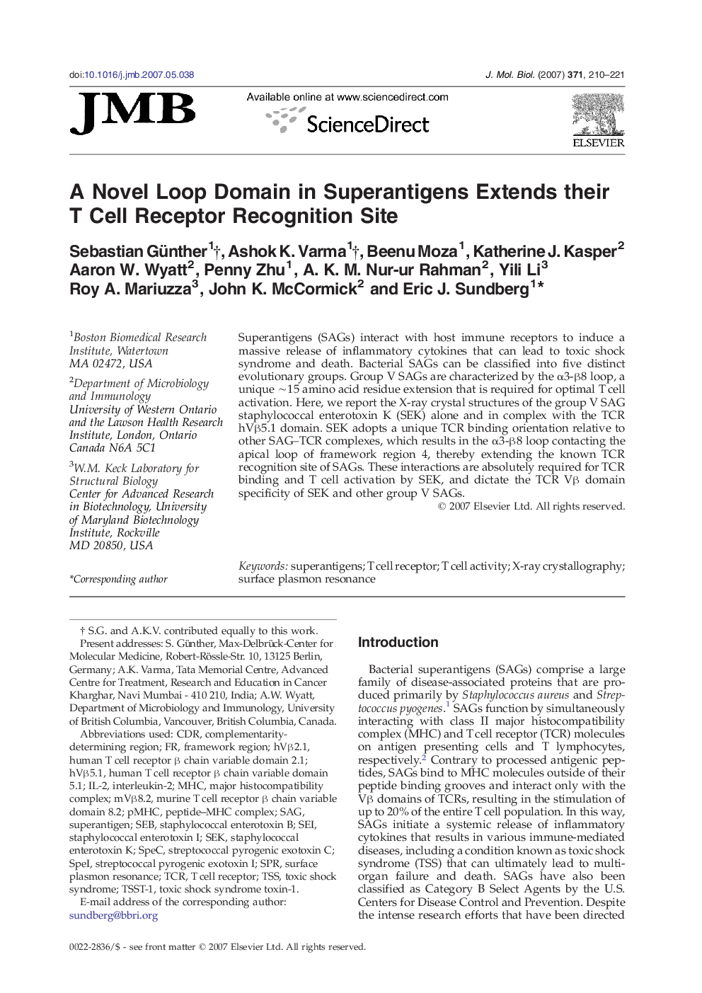 A Novel Loop Domain in Superantigens Extends their T Cell Receptor Recognition Site