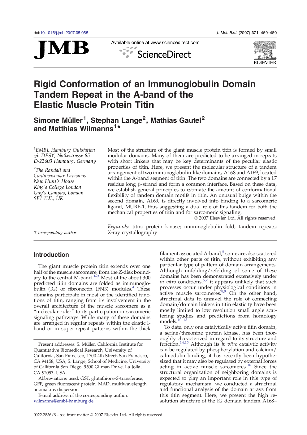 Rigid Conformation of an Immunoglobulin Domain Tandem Repeat in the A-band of the Elastic Muscle Protein Titin