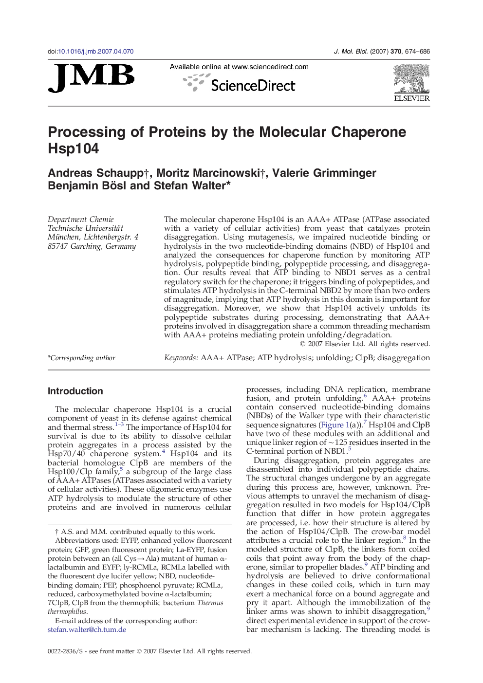 Processing of Proteins by the Molecular Chaperone Hsp104