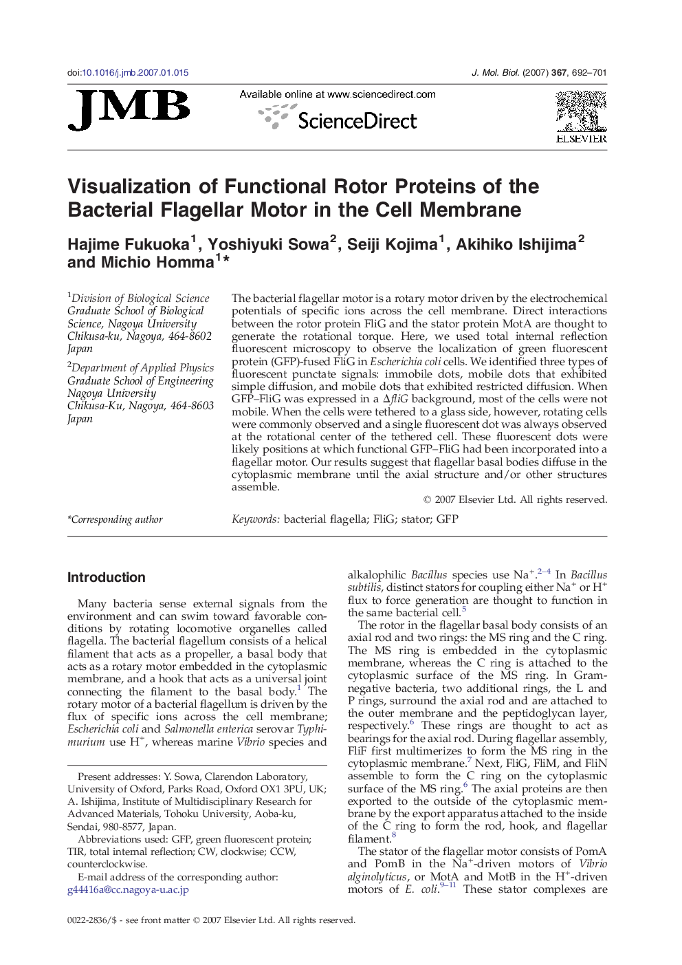 Visualization of Functional Rotor Proteins of the Bacterial Flagellar Motor in the Cell Membrane