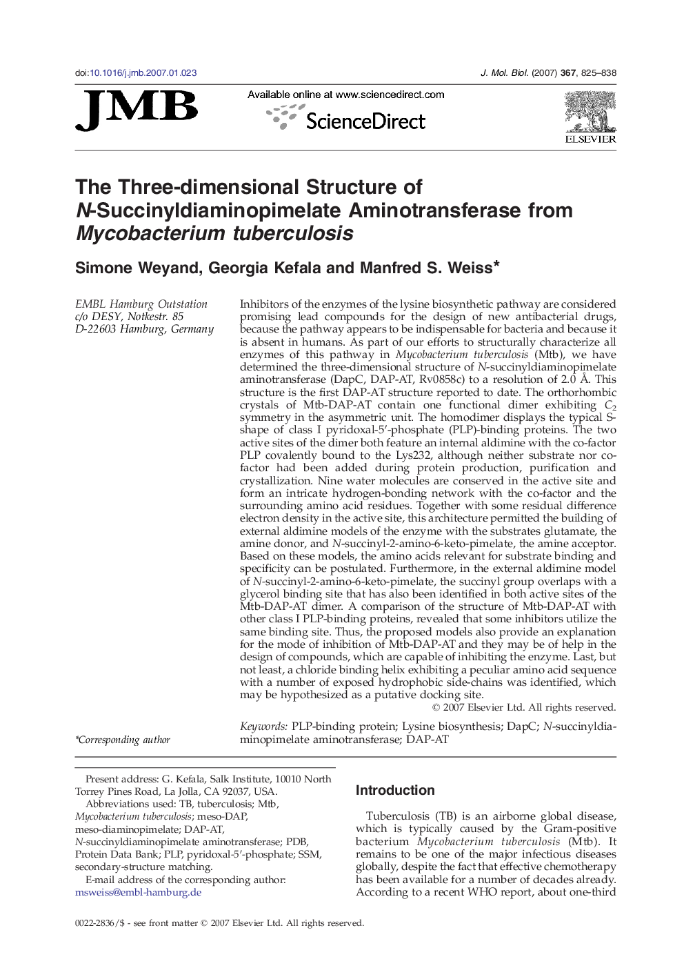 The Three-dimensional Structure of N-Succinyldiaminopimelate Aminotransferase from Mycobacterium tuberculosis