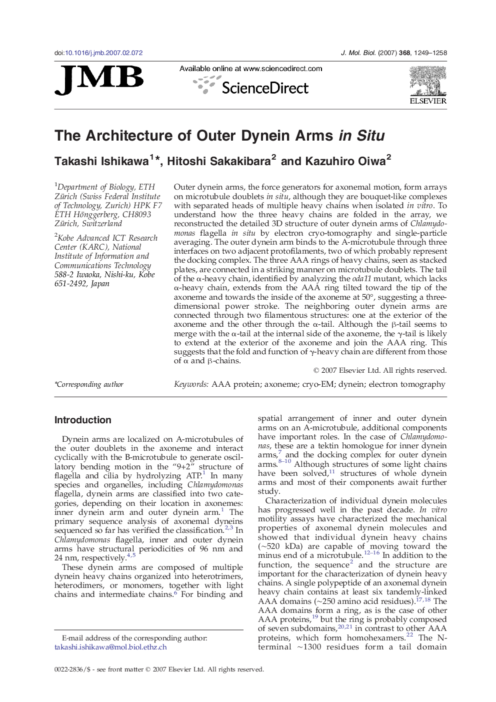 The Architecture of Outer Dynein Arms in Situ