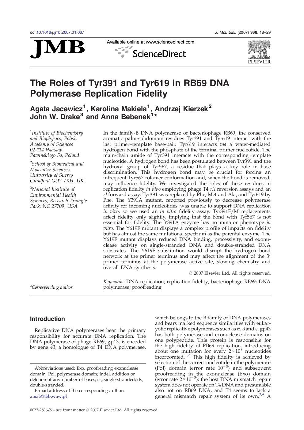 The Roles of Tyr391 and Tyr619 in RB69 DNA Polymerase Replication Fidelity