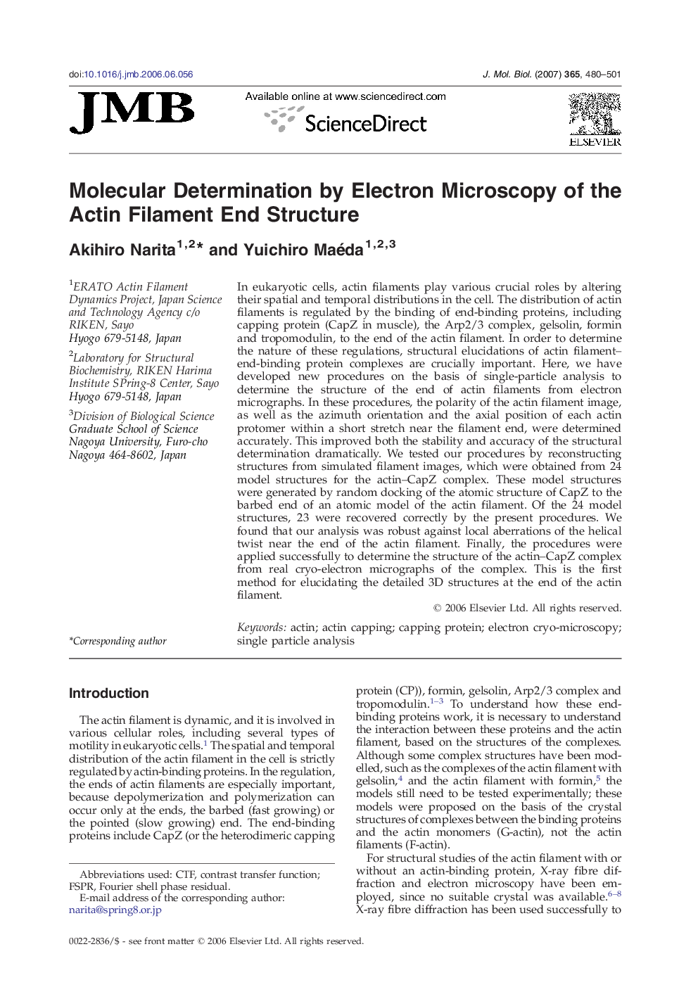 Molecular Determination by Electron Microscopy of the Actin Filament End Structure