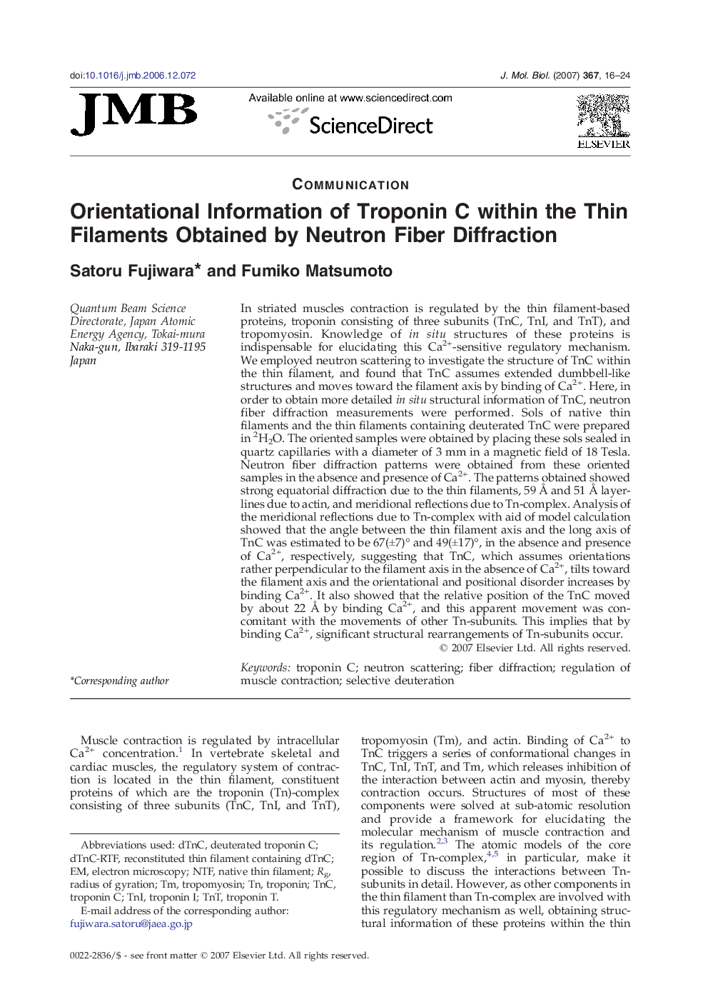 Orientational Information of Troponin C within the Thin Filaments Obtained by Neutron Fiber Diffraction