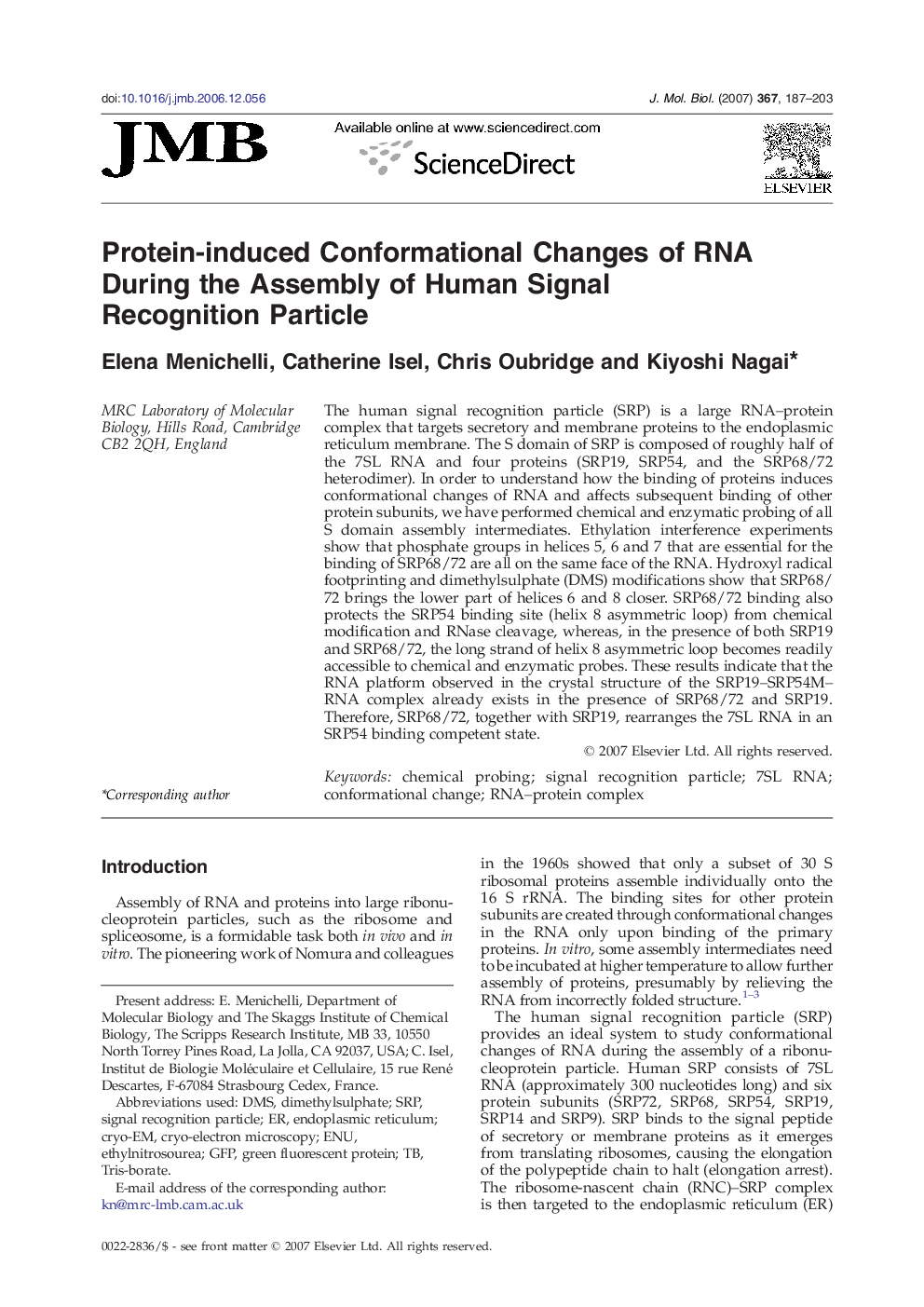 Protein-induced Conformational Changes of RNA During the Assembly of Human Signal Recognition Particle