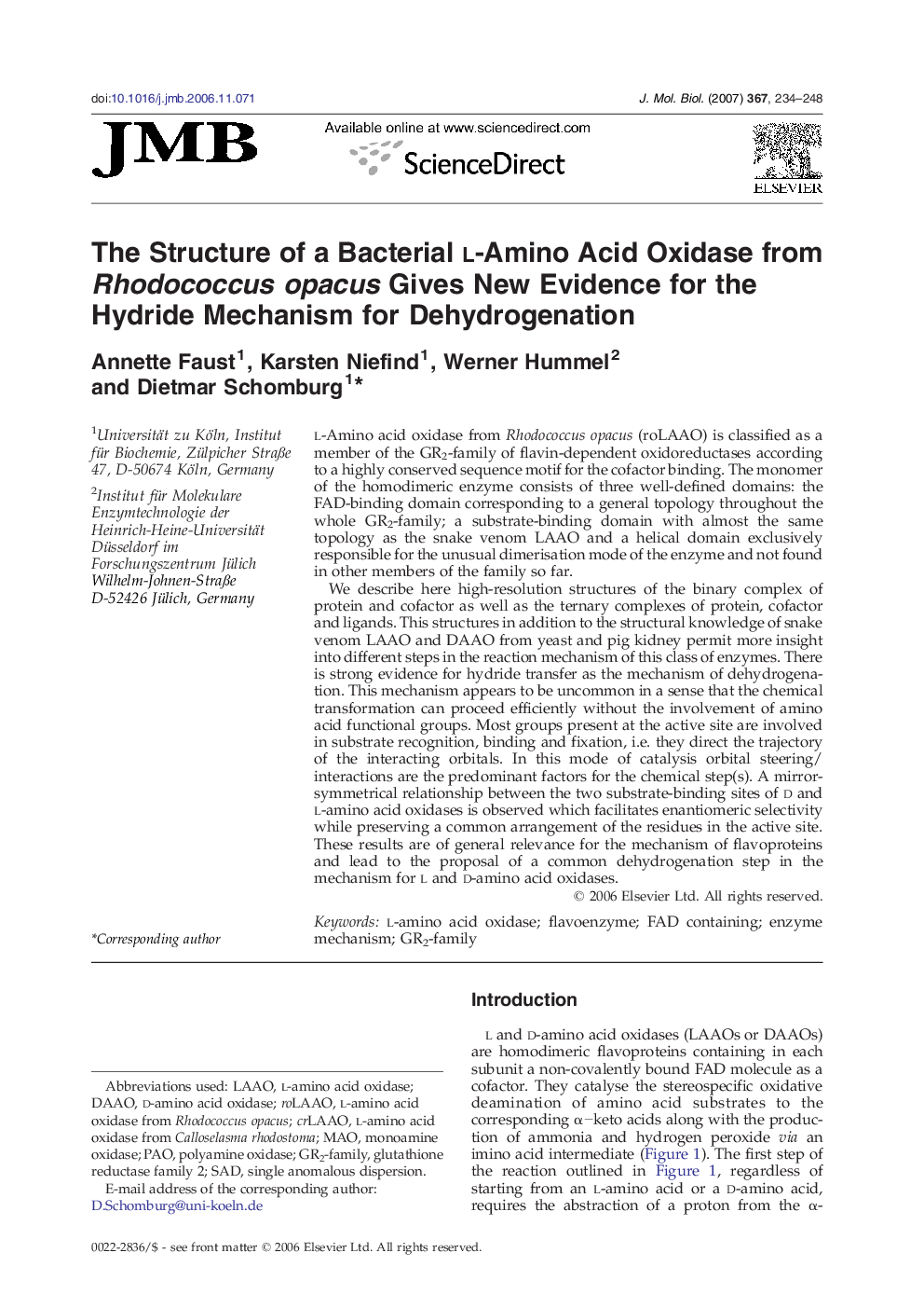 The Structure of a Bacterial l-Amino Acid Oxidase from Rhodococcus opacus Gives New Evidence for the Hydride Mechanism for Dehydrogenation