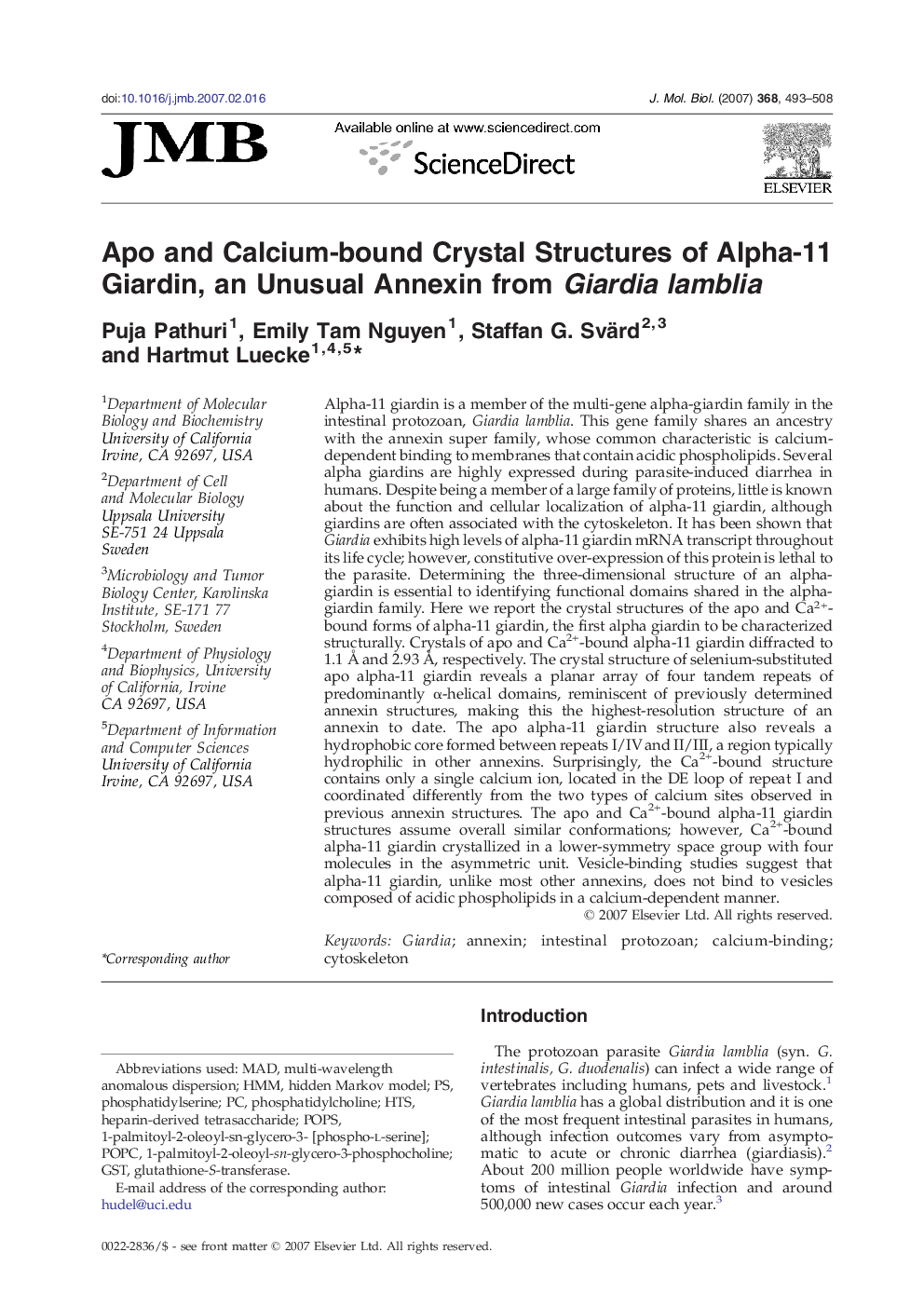 Apo and Calcium-bound Crystal Structures of Alpha-11 Giardin, an Unusual Annexin from Giardia lamblia