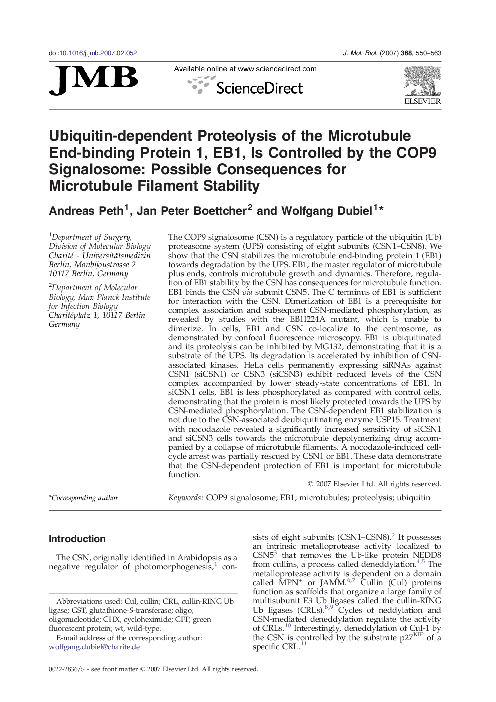 Ubiquitin-dependent Proteolysis of the Microtubule End-binding Protein 1, EB1, Is Controlled by the COP9 Signalosome: Possible Consequences for Microtubule Filament Stability