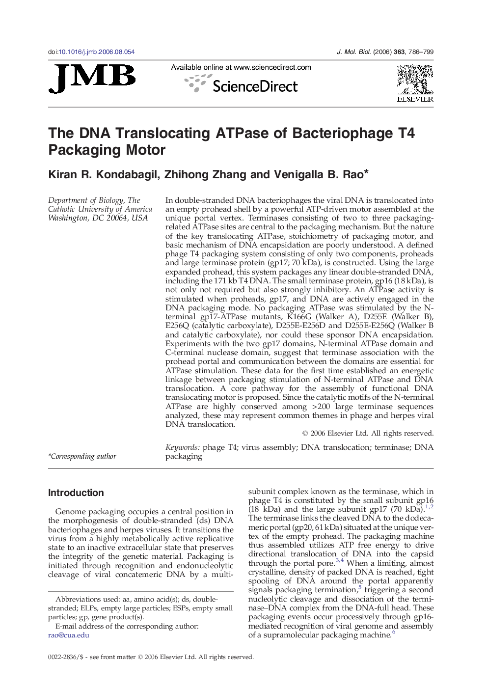 The DNA Translocating ATPase of Bacteriophage T4 Packaging Motor