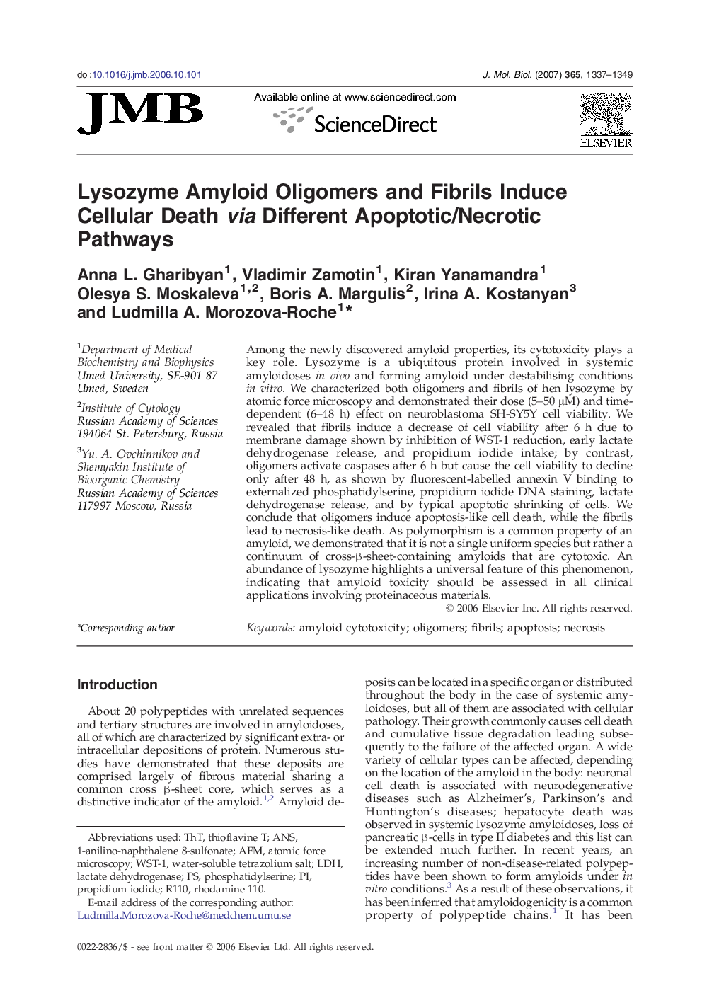 Lysozyme Amyloid Oligomers and Fibrils Induce Cellular Death via Different Apoptotic/Necrotic Pathways