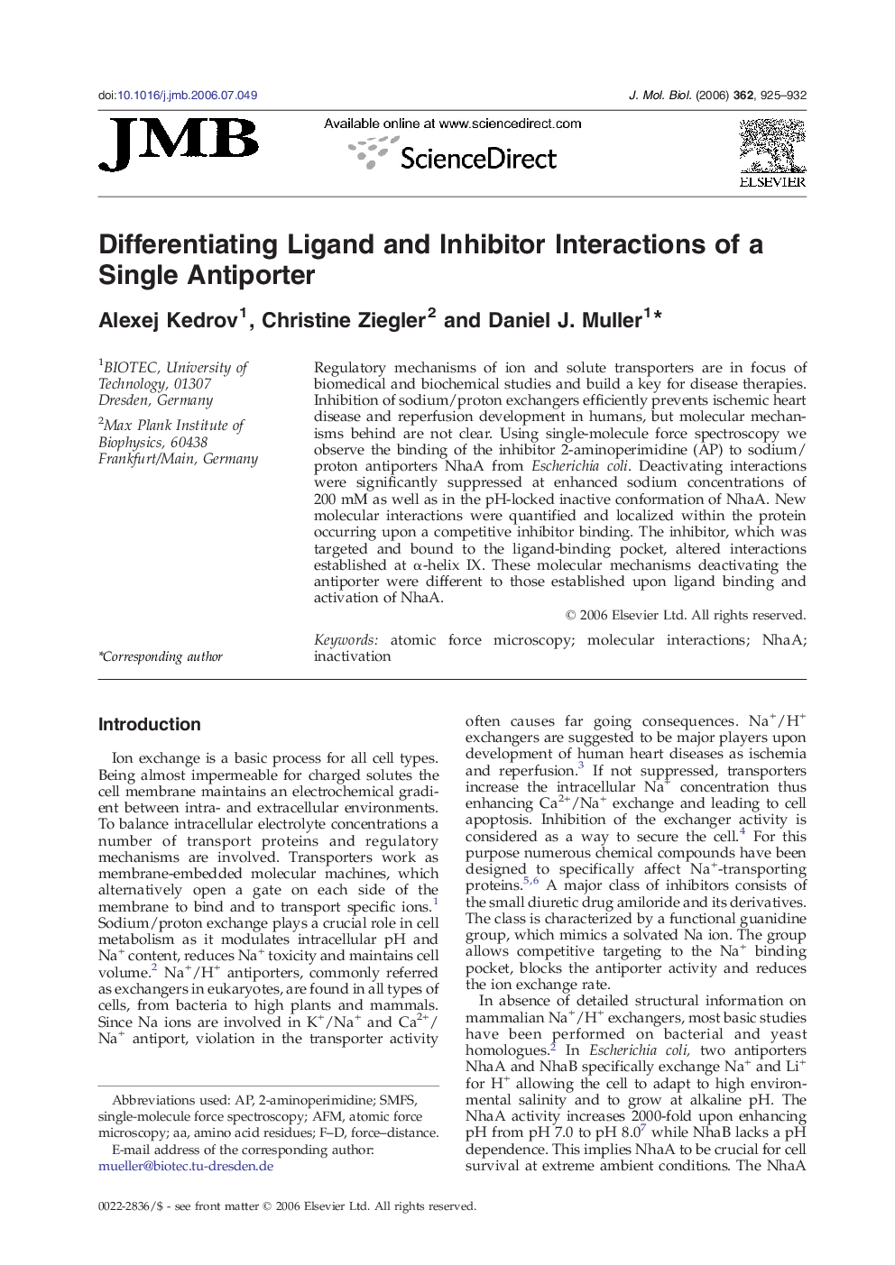 Differentiating Ligand and Inhibitor Interactions of a Single Antiporter