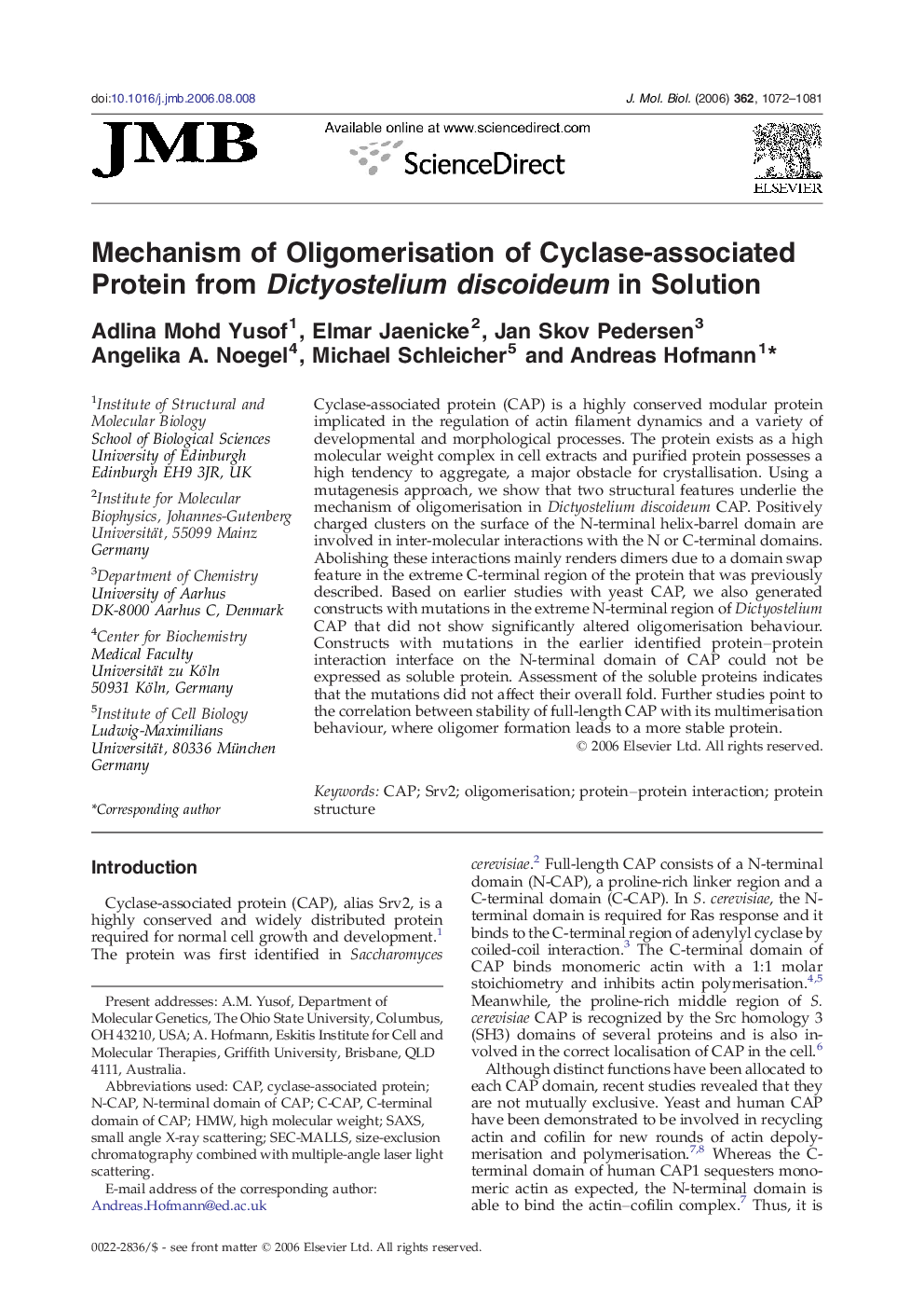 Mechanism of Oligomerisation of Cyclase-associated Protein from Dictyostelium discoideum in Solution