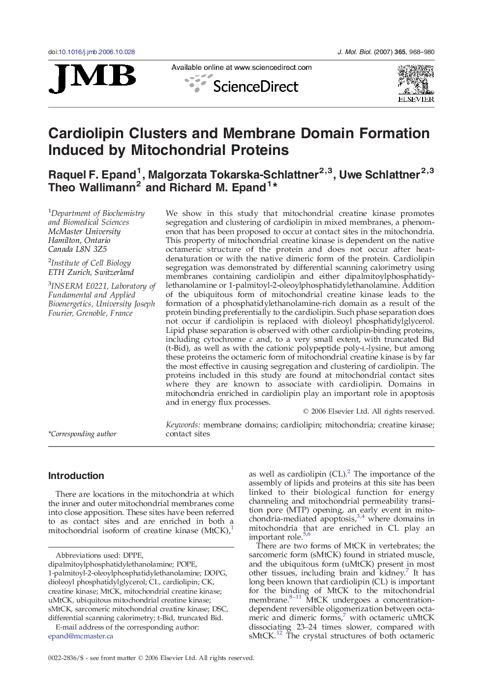 Cardiolipin Clusters and Membrane Domain Formation Induced by Mitochondrial Proteins