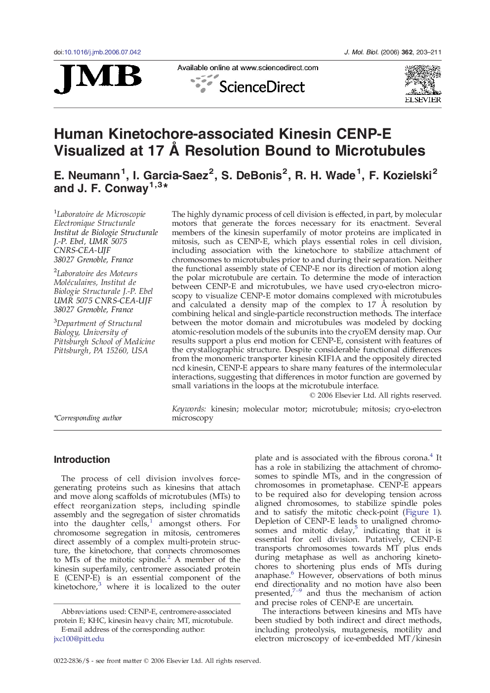 Human Kinetochore-associated Kinesin CENP-E Visualized at 17 Å Resolution Bound to Microtubules