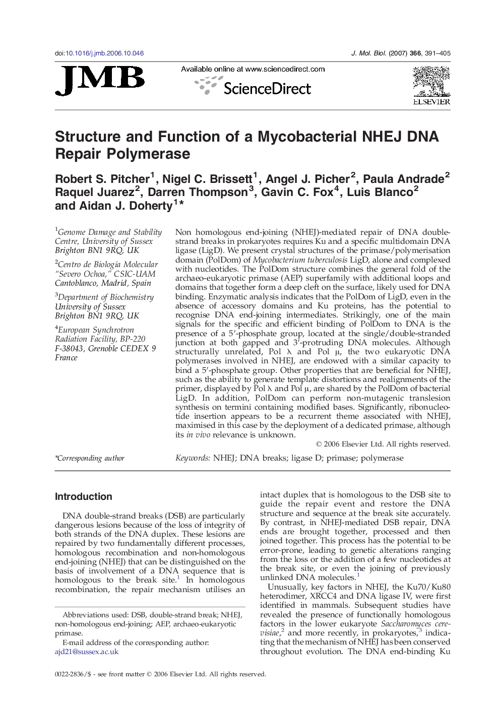 Structure and Function of a Mycobacterial NHEJ DNA Repair Polymerase