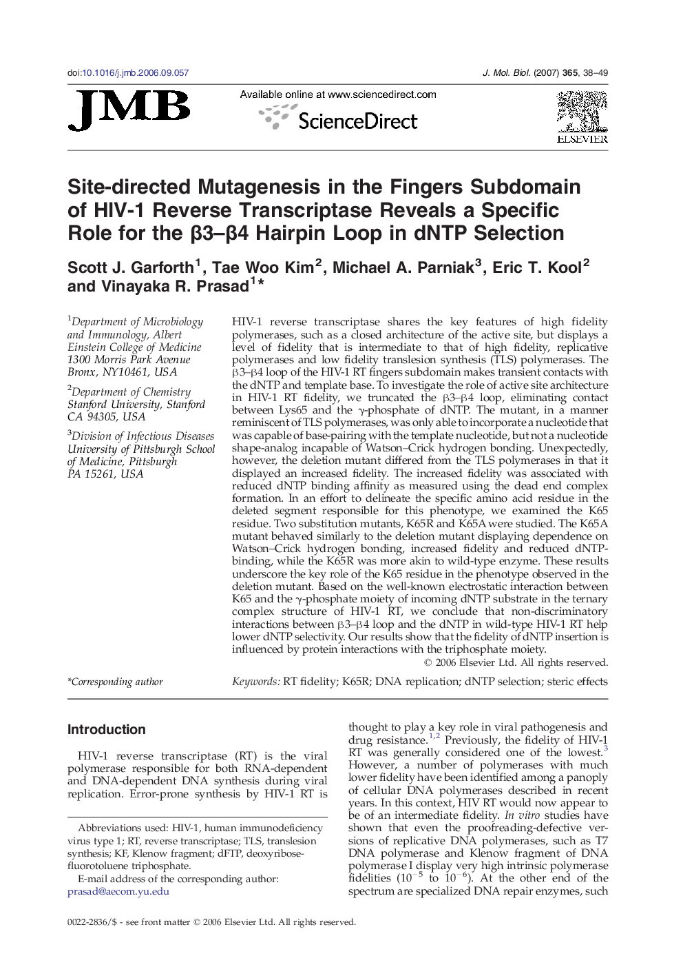 Site-directed Mutagenesis in the Fingers Subdomain of HIV-1 Reverse Transcriptase Reveals a Specific Role for the β3–β4 Hairpin Loop in dNTP Selection