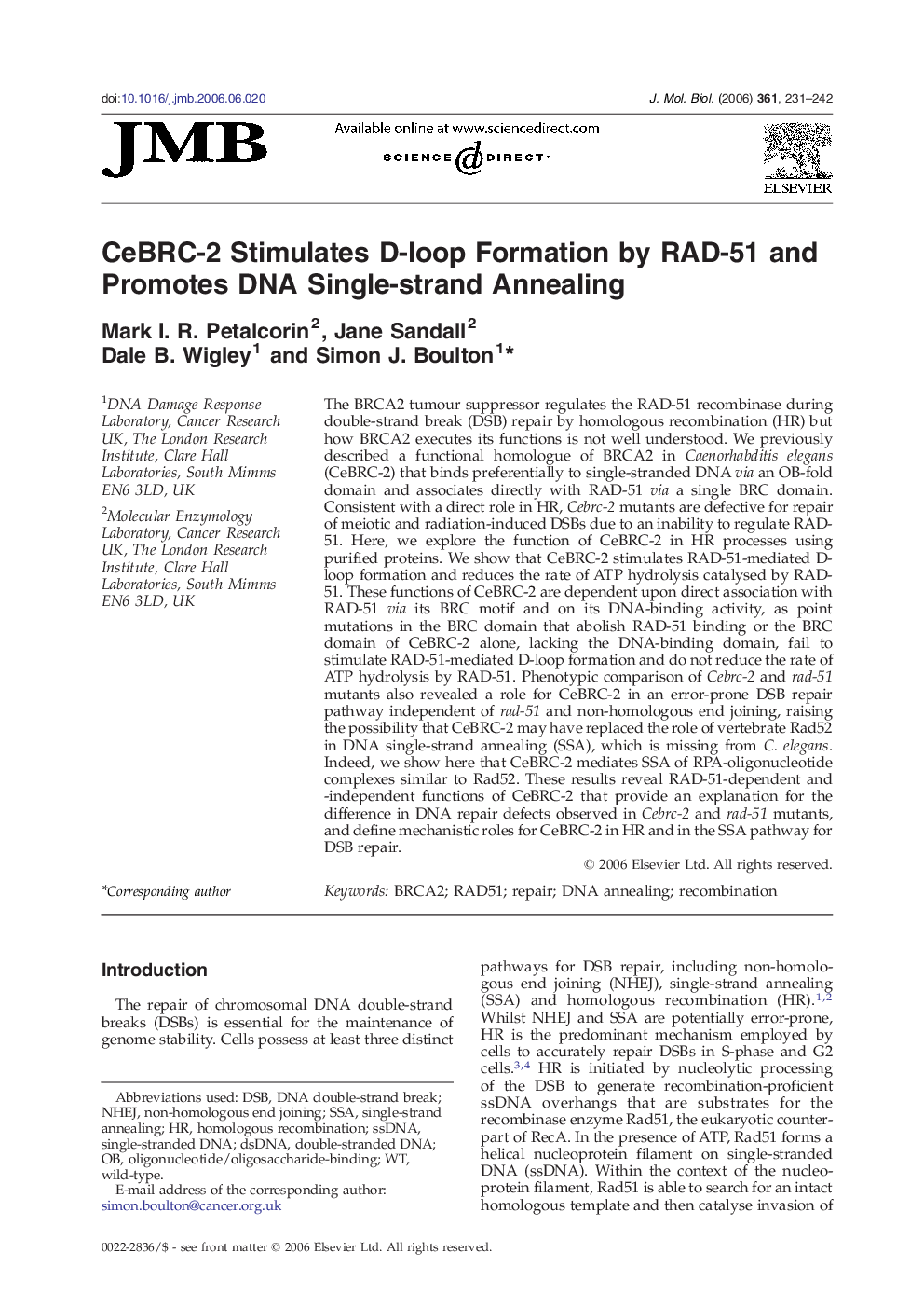 CeBRC-2 Stimulates D-loop Formation by RAD-51 and Promotes DNA Single-strand Annealing