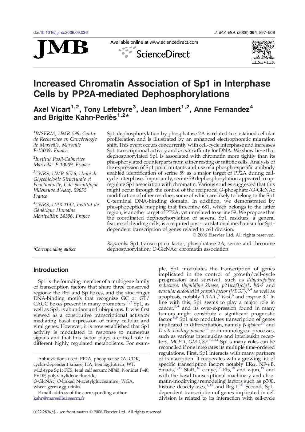 Increased Chromatin Association of Sp1 in Interphase Cells by PP2A-mediated Dephosphorylations