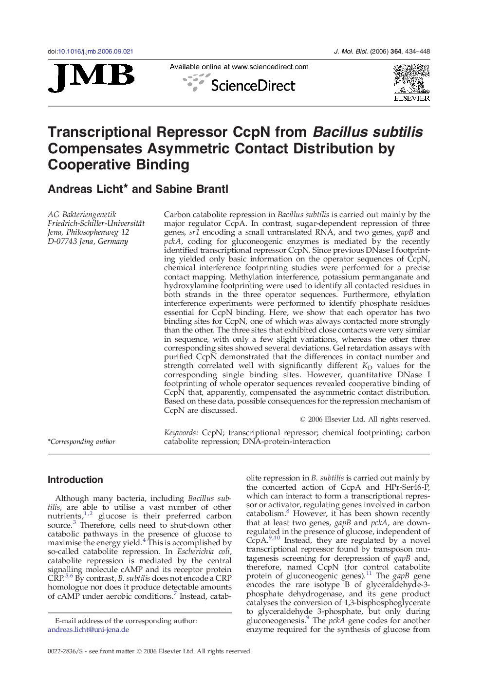 Transcriptional Repressor CcpN from Bacillus subtilis Compensates Asymmetric Contact Distribution by Cooperative Binding
