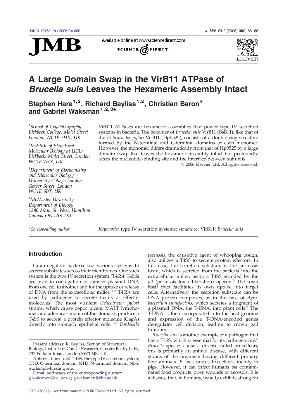 A Large Domain Swap in the VirB11 ATPase of Brucella suis Leaves the Hexameric Assembly Intact