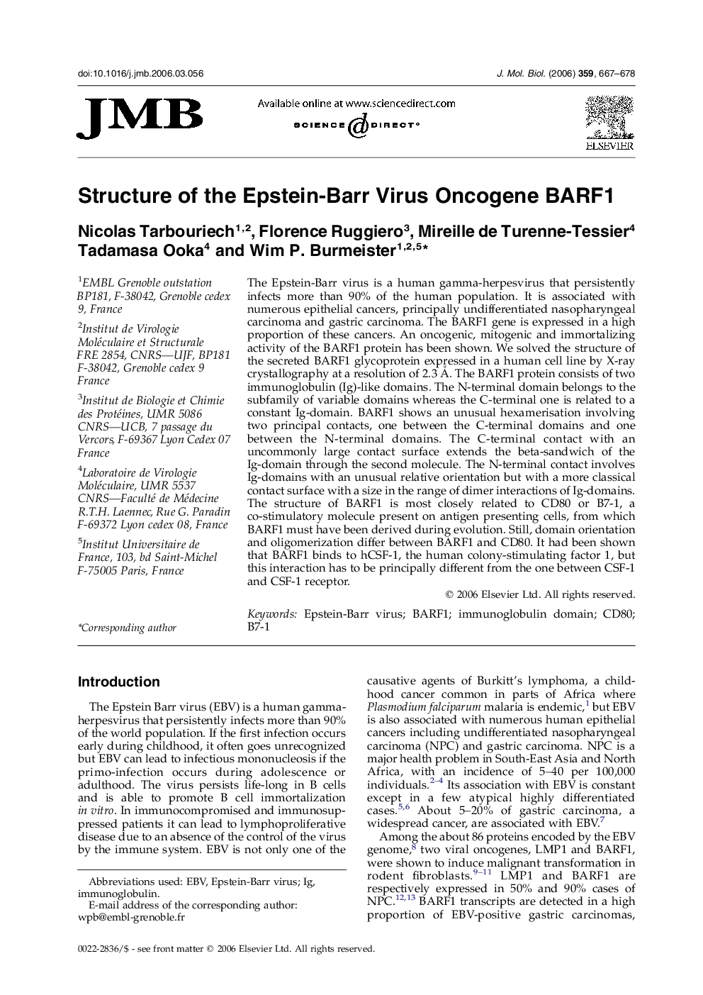 Structure of the Epstein-Barr Virus Oncogene BARF1