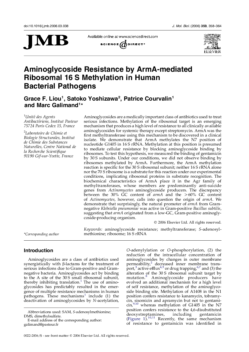 Aminoglycoside Resistance by ArmA-mediated Ribosomal 16 S Methylation in Human Bacterial Pathogens